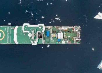 Trods varmere vand og smeltende havis glimrer fiskene ved deres fravær i det centrale Arktiske Ocean. Nye undersøgelser fra Norsk Polarinstitutt viser, at havet nord for 82 grader er nærmest livløst under overfladen, hvilket nu fører til krav om etablering af beskyttede havområder. foto: Vegard Sturzinger - Forskning.no