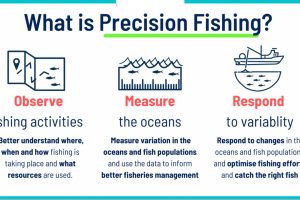 Precisionsfishing