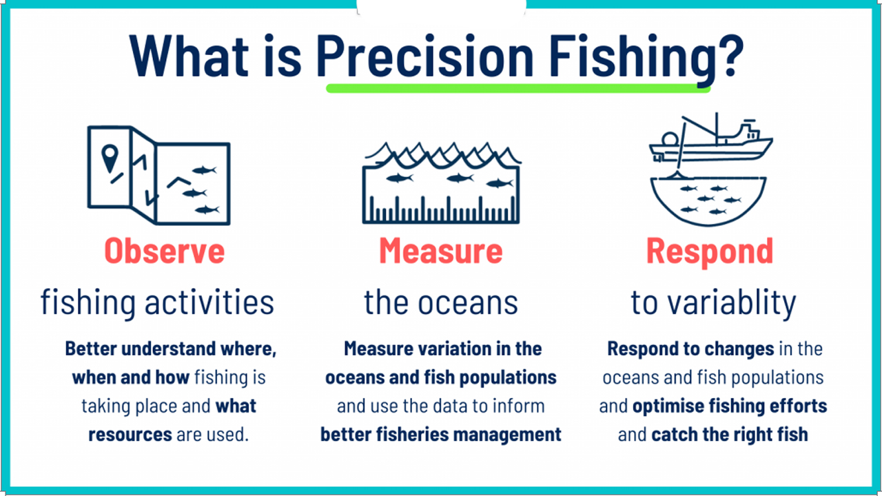 Read more about the article Effektivt trawlfiskeri med præcisions-teknologi