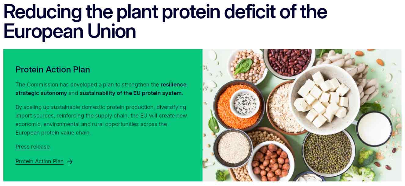 Read more about the article EU vil sikre Europas protein – men glemmer fisken