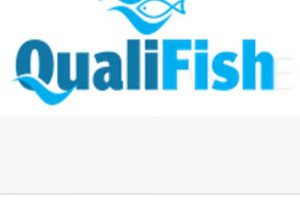 Sintef projektet QualiFish skal sparke Norges fiskebranche i gang igen.  Foto: Logo Qualifish - Sintef