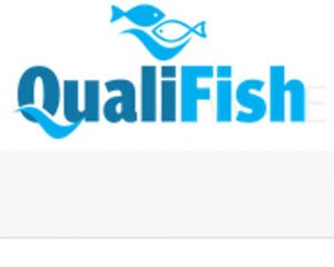 Sintef projektet QualiFish skal sparke Norges fiskebranche i gang igen.  Foto: Logo Qualifish - Sintef