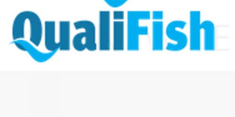 Sintef projektet QualiFish skal sparke Norges fiskebranche i gang igen.  Foto: Logo Qualifish - Sintef