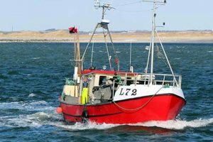 Melding fra Erhvervsministeriet - fiskeriet kan fortsætte