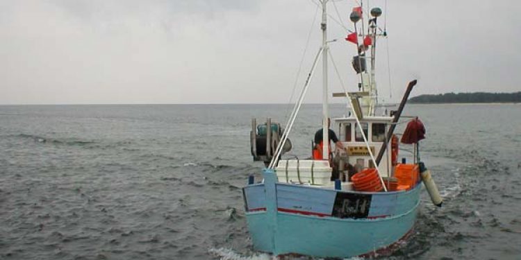 Danmarks Fiskeriforening ser gerne meldegrænsen øget til et tons.  Arkivfoto: R14 Bornholm