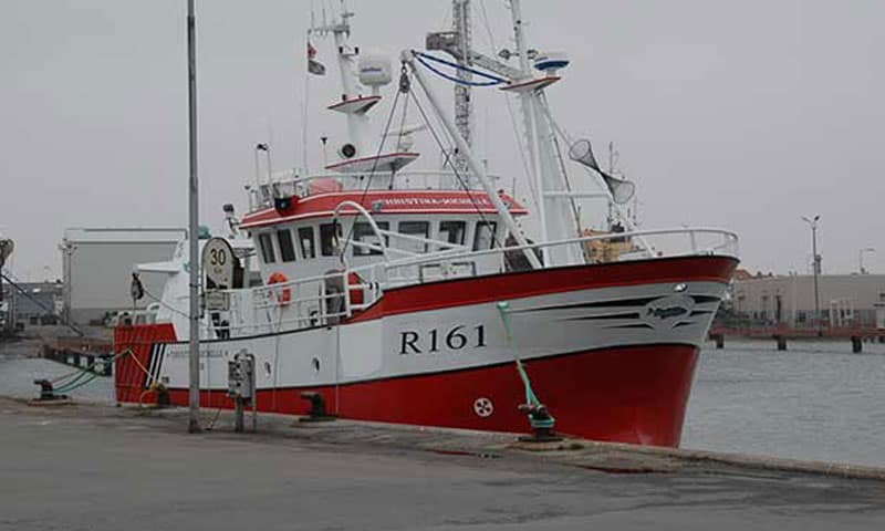 Read more about the article Nexø Havn er optimistiske, trods kraftig nedgang i landinger af fisk