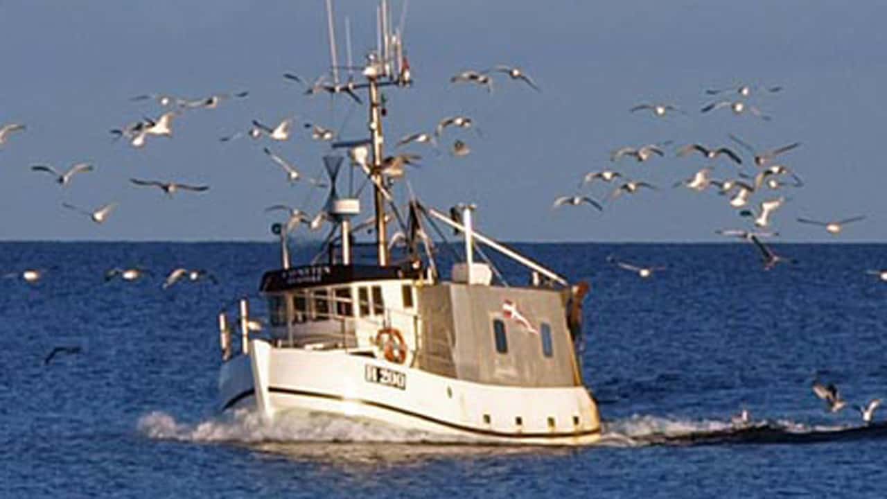 Read more about the article Drømmen om et langt liv i fiskeriet er bristet for mange på Bornholm