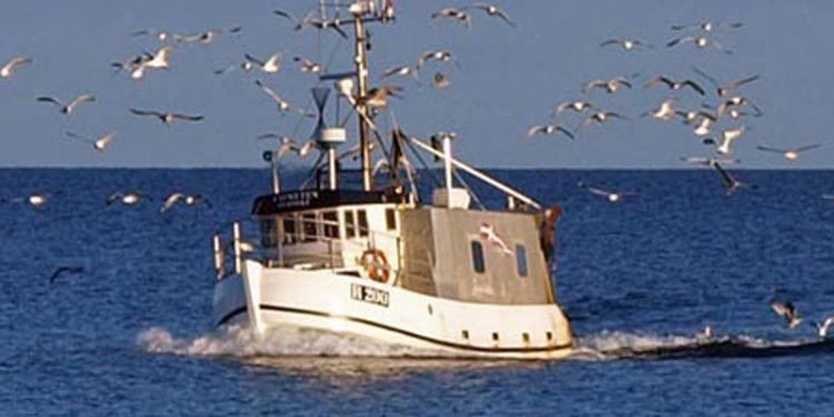 FSK risikerer at dele kystfiskeriet i et A og B hold  Foto: mindre kystfartøj med trawl R 200 »Cometen« CSH
