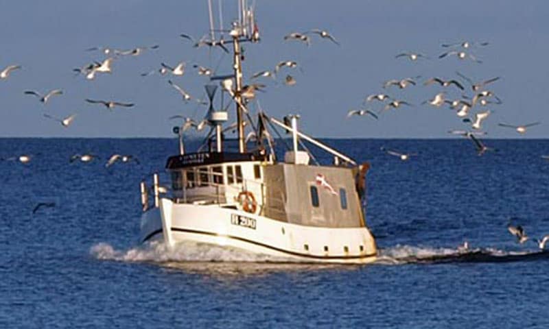 Read more about the article FSK risikerer at dele kystfiskeriet i et A og B hold
