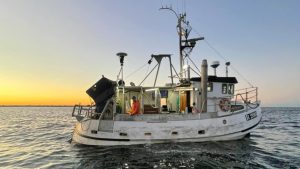 Fiskefartøjer i Østersøen modtager nu støtte til ophugning. foto: Claus Stenmann Hansen