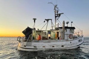 Fiskefartøjer i Østersøen modtager nu støtte til ophugning. foto: Claus Stenmann Hansen