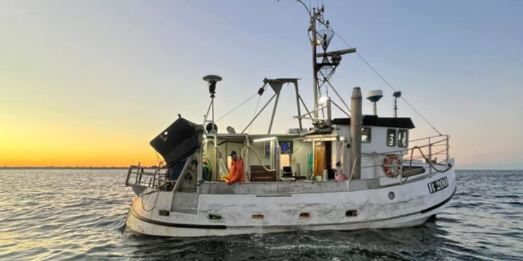 Fiskefartøjer i Østersøen modtager nu støtte til ophugning. foto: Claus Stenmann Hansen