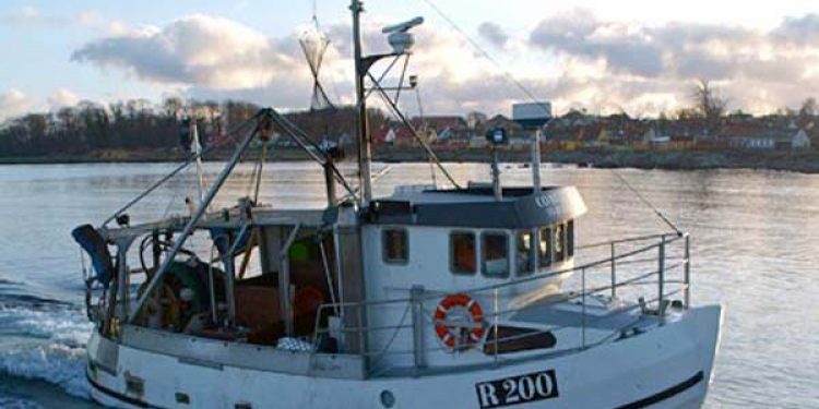 Havdage paradoks for kystfiskerne i Østersøen.  Foto: R200  Fotograf: Cecilie S. Hansen