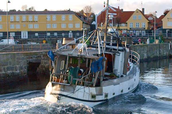 Read more about the article Fiskerne frustrerede over virk.dk ikke virker for dem