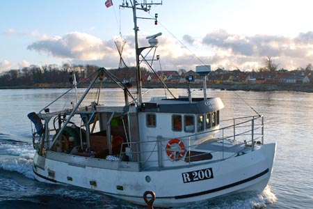 Read more about the article Færre restriktioner på fiskeri i Østersøen
