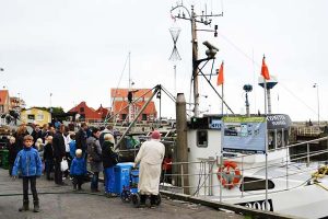 På Bornholm er det kystnære fiskeri ved at være slut.  Arkivfoto:  Liv og glade dage på Svaneke Havn - R200 Cometen med skipper Claus S. Hansen - CSH
