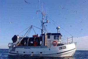 Miljøorganisationer indbyrdes ueninge om fiskerimetoder.  foto: R200 Cometen  Fotograf: ThomJem