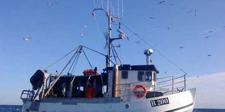 Miljøorganisationer indbyrdes ueninge om fiskerimetoder.  foto: R200 Cometen  Fotograf: ThomJem