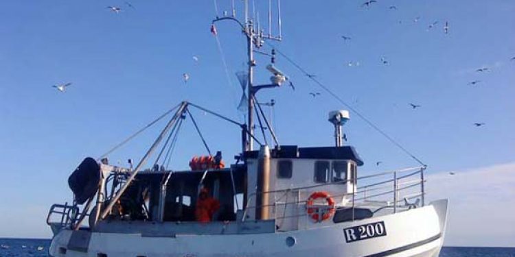 Fiskeriforeningen går imod ICES om Østersøen.  Foto: R200 - ThomJen