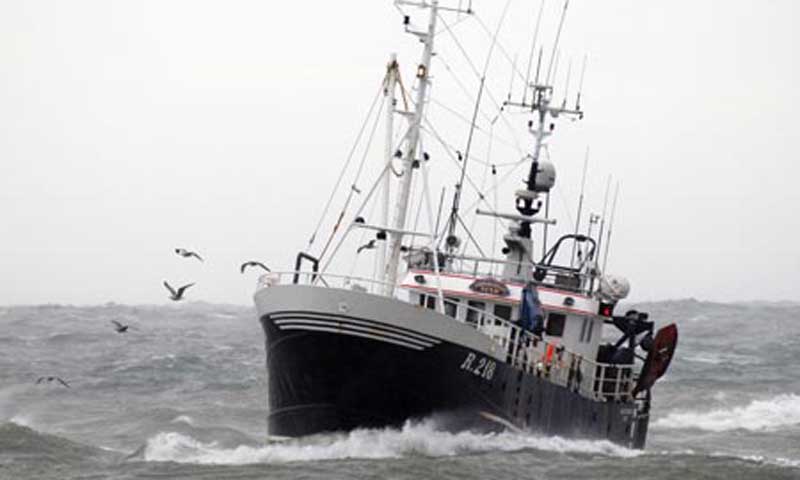 Read more about the article Sennepsgasbombe kan blive et dyrt bekendtskab for fisker