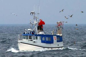 Man må slås for sine fisk på Bornholm.  Foto: R252 Ramone - ChristiansØ - Fotograf: ThomJen