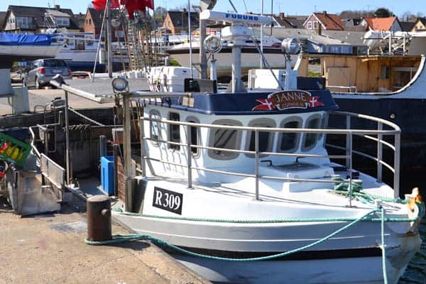 Read more about the article Oppositionspolitikere undre sig over ændringerne i Kystfiskerordningen
