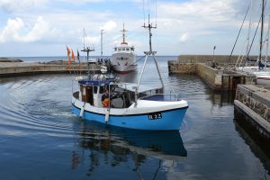 Danmarks Fiskeriforening hilser kompensation til torske- og sildefiskere i Østersøen velkommen