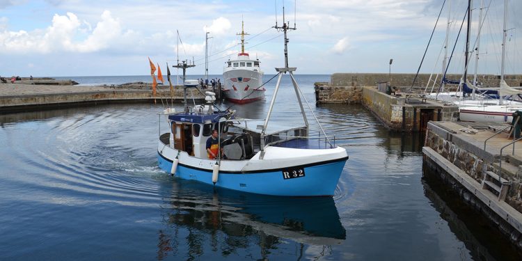 Danmarks Fiskeriforening hilser kompensation til torske- og sildefiskere i Østersøen velkommen