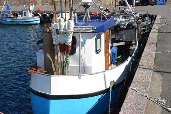 Read more about the article Fødevareministeren vil kompensere trængte Østersø-fiskere