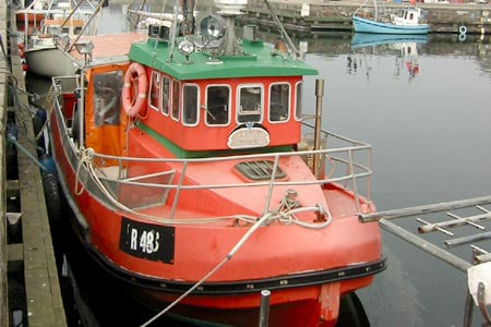 Read more about the article Bornholmsk  fisker har forlængst lagt op – men det koster fortsat tusindevis af kroner hver måned