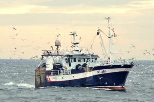 Stigning i Værdien af Fiskefartøjers Landinger, Især industrifisk, makrel og torskefisk foto. RCS