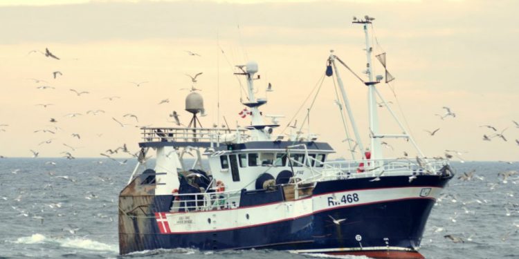 Stigning i Værdien af Fiskefartøjers Landinger, Især industrifisk, makrel og torskefisk foto. RCS