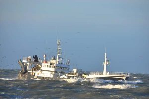 SF’s trawludmelding får Nordjyske borgmestre til at frygte for fiskerierhvervet arkivfoto: RCS