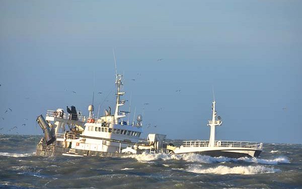 SF’s trawludmelding får Nordjyske borgmestre til at frygte for fiskerierhvervet arkivfoto: RCS