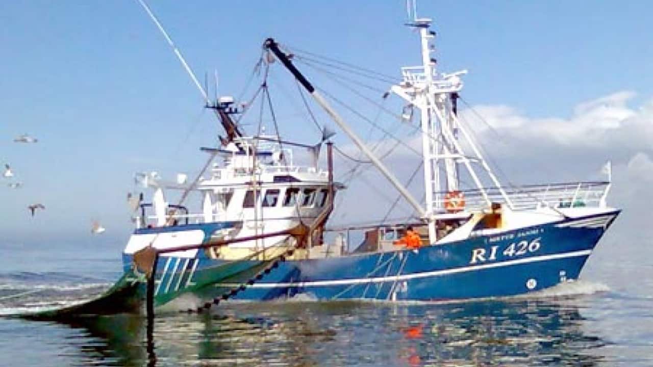 Read more about the article Enhedslistens trawlforbud langs jyske Vestkyst rammer rejefiskerne i Hvide Sande og Esbjerg