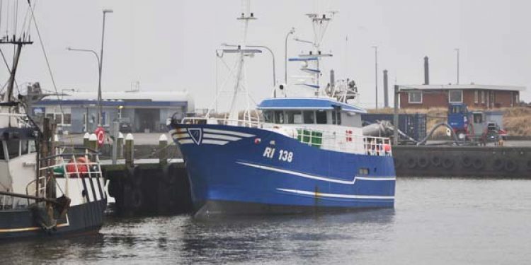 Garnskib lander godt 2 tons tunger til auktionen i Hvide Sande.  Foto: RI138 Helle Jes Hvide Sande - FiskerForum