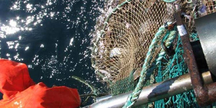 Mulighed for bytte af årsmængder af rødspætte i Nordsøen med rødspætte i Skagerrak.  FiskerForum