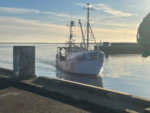 Vemodigt farvel til den sidste blå kutter i Hvide Sande foto fra indsejlingen til Esbjerg Havn - Smedegaarden