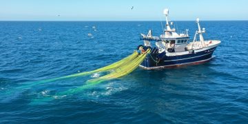 Read more about the article Mulig krise-hjælp til fiskerne sat på pause – Fiskeriministeren og embedsmændene er på ferie