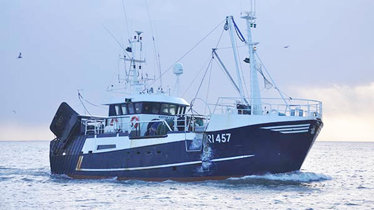 Read more about the article Vestjyske trawlere henter pæne brislinge-fangster