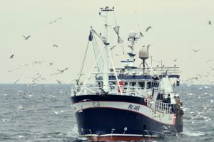 Konsumfiskeriet løftede 2016 til nyt rekordår  Arikivfoto: RI 468 Juli-Ane - RCS