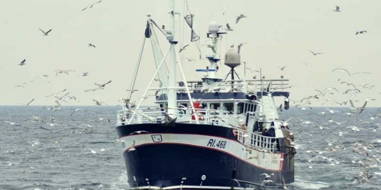 Dansk fiskeri forventes at stige med 230 mio kroner næste år