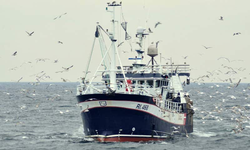 Read more about the article Dansk fiskeri forventes at stige med 230 mio kroner næste år
