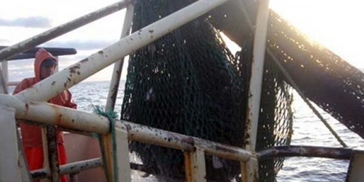 Torskefiskeriet i Østersøen hæmmes af hårdt vejr.  Foto: RI468 Juli-Ane