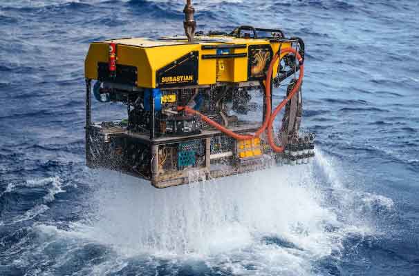 Read more about the article Mystisk ›death-ball-svamp‹ afslører ukendt liv i havets dyb