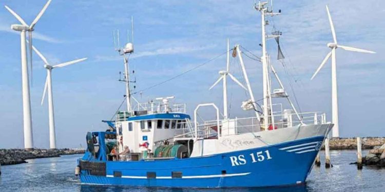 Efter fire årtier til søs advarer fiskeskipper Ejner Thomassen med RS 151 »Ejca« om, at faldende fiskebestande skyldes forurening og spildevand – ikke overfiskeri – og han peger samtidig på de store konsekvenser det er for de mindre havne og lokalsamfund. foto: Ejca