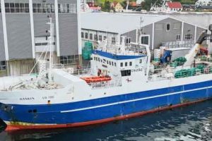 Den færøske trawler **Rankin** har i den forgangne uge landet en solid fangst i Tórshavn efter en vellykket fisketur. foto: Kiran J