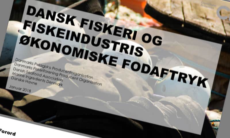 Read more about the article Fiskeriet bidrager positivt: 16.000 jobs og 12,5 mia. til BNP