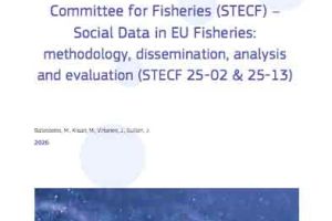 RApport af European Commission