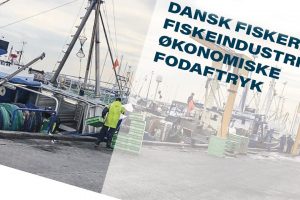 Rapport-Fiskeriets-fodaftryk